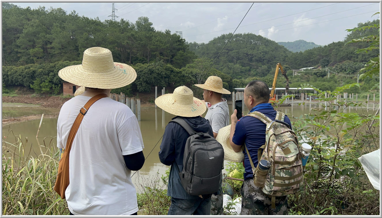 011.jpg